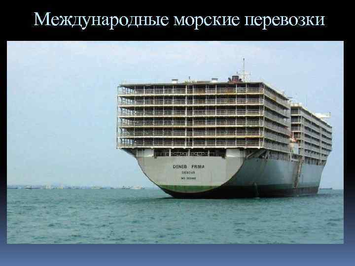 Международные морские перевозки 
