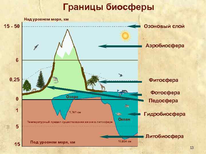 Рисунок границы биосферы 6 класс