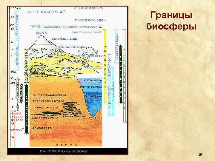 Границы биосферы 19 