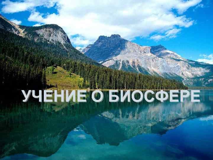 УЧЕНИЕ О БИОСФЕРЕ 1 