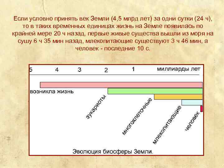 Если условно принять век Земли (4, 5 млрд лет) за одни сутки (24 ч),