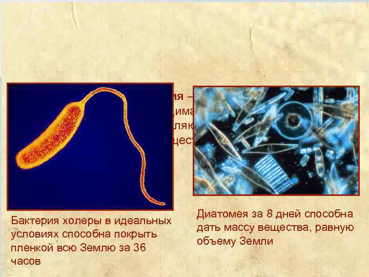 Биогеохимическая энергия – энергия, вырабатываемая живым веществом, сводимая к работе, связанной с движением атомов,