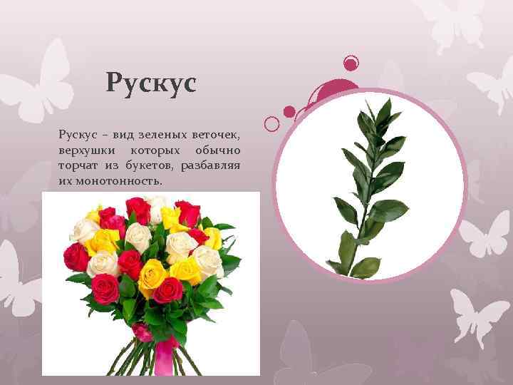 Рускус – вид зеленых веточек, верхушки которых обычно торчат из букетов, разбавляя их монотонность.