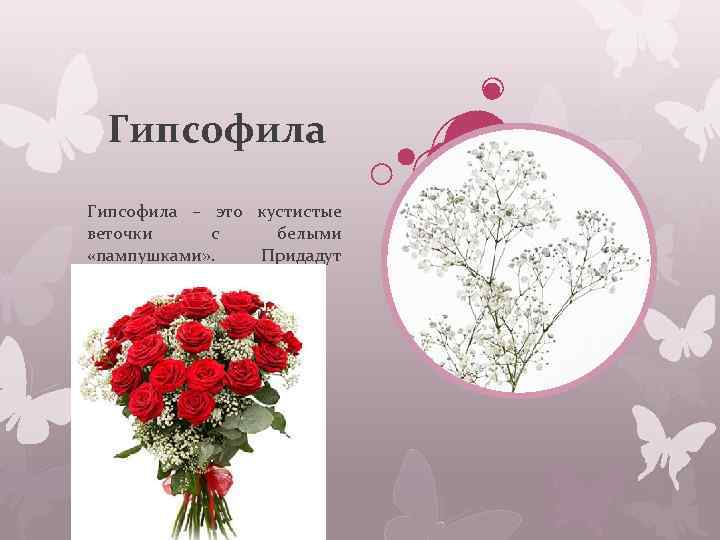 Гипсофила – это кустистые веточки с белыми «пампушками» . Придадут букету легкость. 