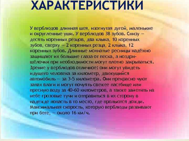 ХАРАКТЕРИСТИКИ У верблюдов длинная шея, изогнутая дугой, маленькие и округленные уши. У верблюдов 38