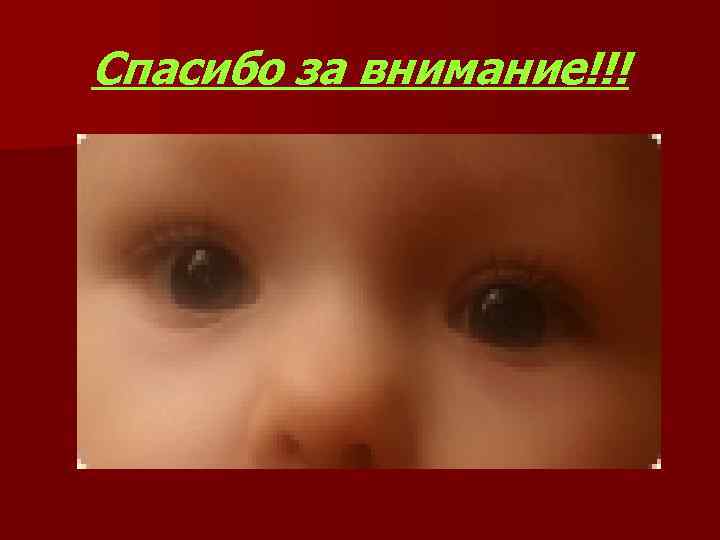 Спасибо за внимание!!! 