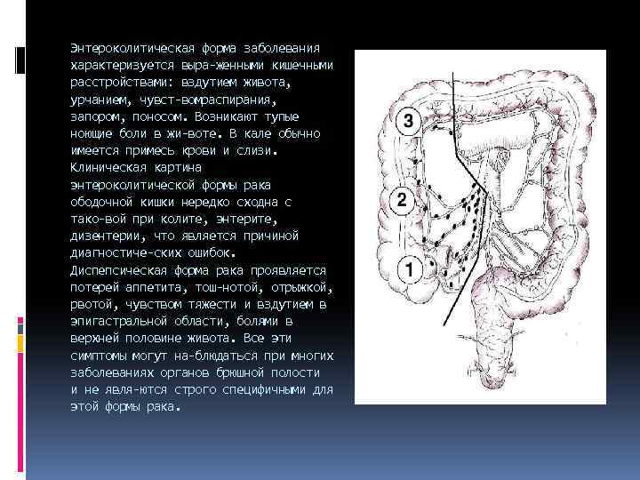 Энтероколитическая форма заболевания характеризуется выра женными кишечными расстройствами: вздутием живота, урчанием, чувст вомраспирания, запором,