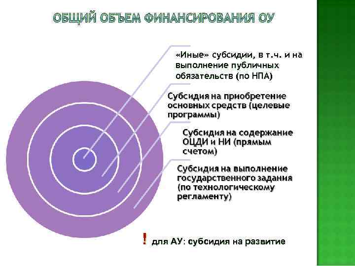 ОБЩИЙ ОБЪЕМ ФИНАНСИРОВАНИЯ ОУ «Иные» субсидии, в т. ч. и на выполнение публичных обязательств