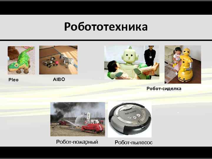 Робототехника Pleo AIBO Робот-сиделка Робот-пожарный Робот-пылесос 