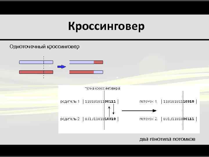 Кроссинговер Одноточечный кроссинговер два генотипа потомков 