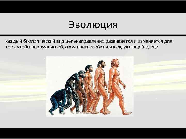 Эволюция каждый биологический вид целенаправленно развивается и изменяется для того, чтобы наилучшим образом приспособиться