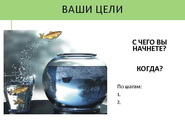 ВАШИ ЦЕЛИ С ЧЕГО ВЫ НАЧНЕТЕ? КОГДА? По шагам: 1. 2. 