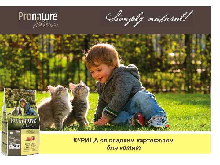 КУРИЦА со сладким картофелем для котят 