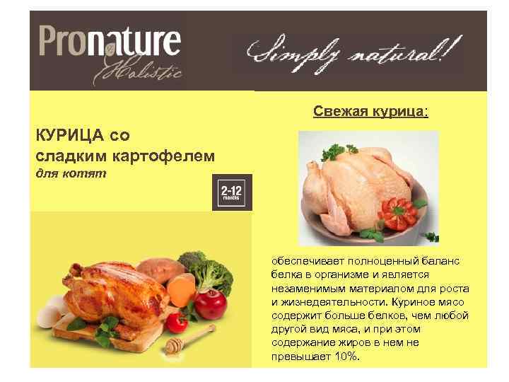 Свежая курица: КУРИЦА со сладким картофелем для котят обеспечивает полноценный баланс белка в организме