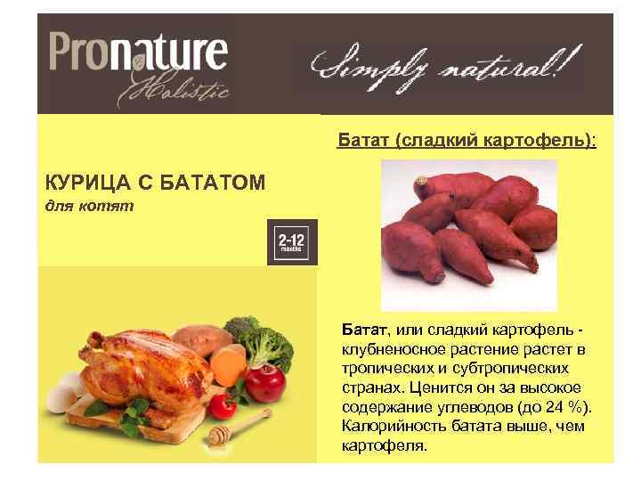 Батат (сладкий картофель): КУРИЦА С БАТАТОМ для котят Батат, или сладкий картофель - клубненосное