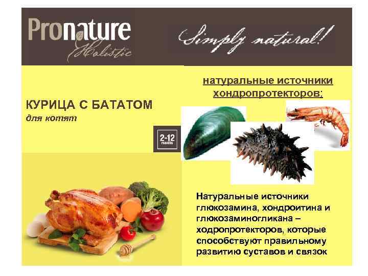 КУРИЦА С БАТАТОМ натуральные источники хондропротекторов: для котят Натуральные источники глюкозамина, хондроитина и глюкозаминогликана