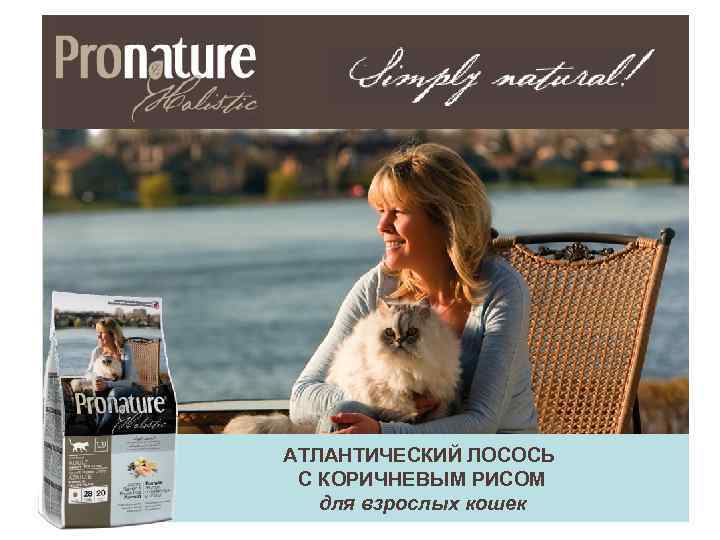 АТЛАНТИЧЕСКИЙ ЛОСОСЬ С КОРИЧНЕВЫМ РИСОМ для взрослых кошек 