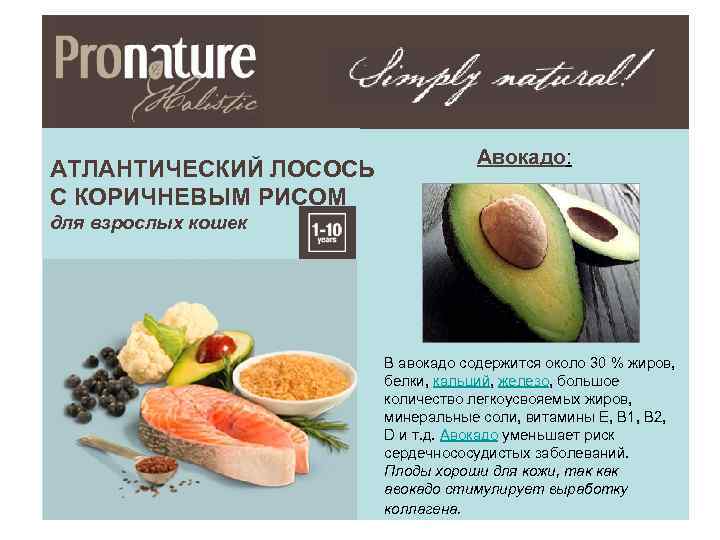АТЛАНТИЧЕСКИЙ ЛОСОСЬ С КОРИЧНЕВЫМ РИСОМ Авокадо: для взрослых кошек В авокадо содержится около 30