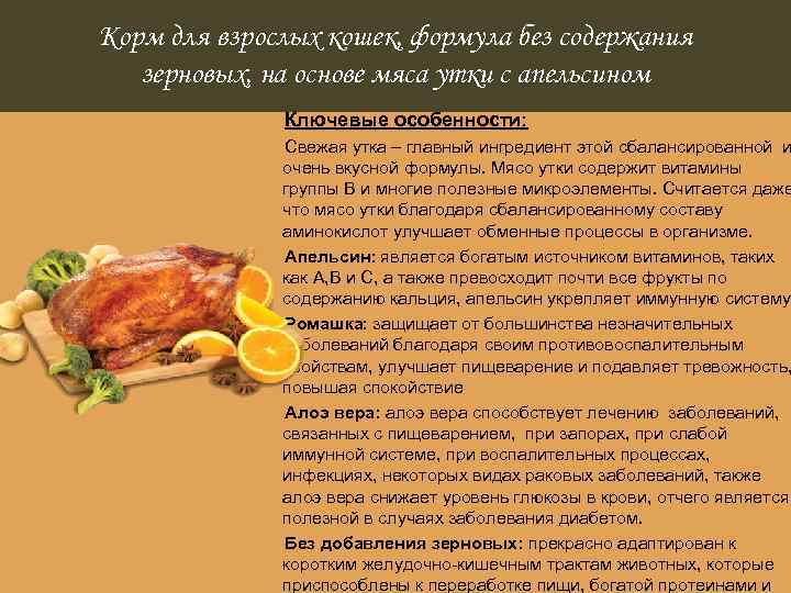 Корм для взрослых кошек, формула без содержания зерновых, на основе мяса утки с апельсином