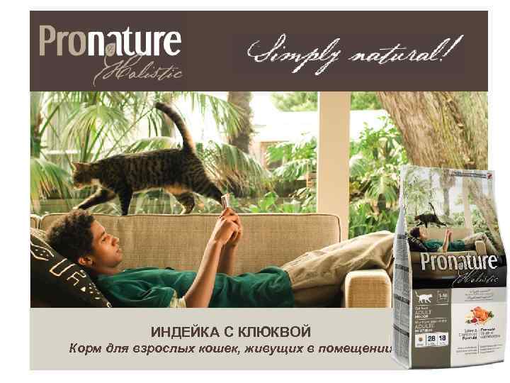 ИНДЕЙКА С КЛЮКВОЙ Корм для взрослых кошек, живущих в помещении 