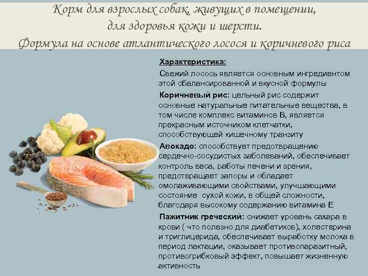 Корм для взрослых собак, живущих в помещении, для здоровья кожи и шерсти. Формула на