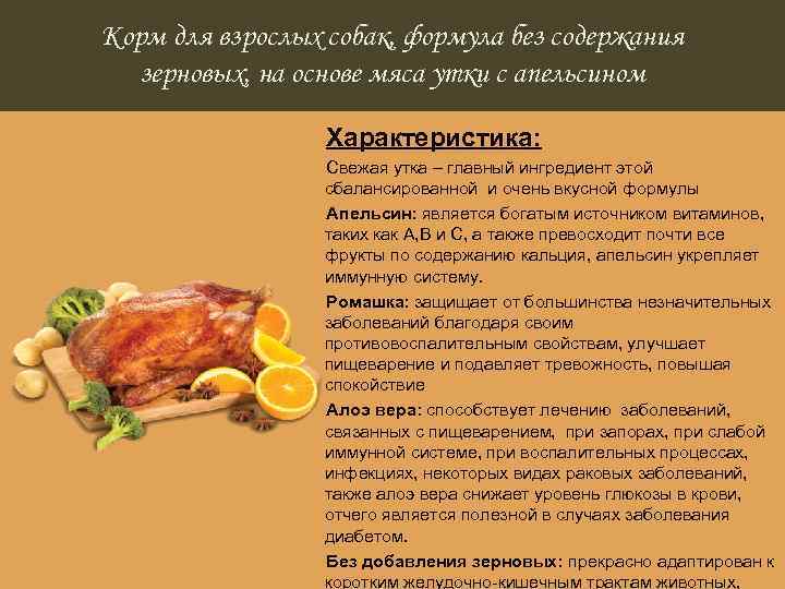 Корм для взрослых собак, формула без содержания зерновых, на основе мяса утки с апельсином