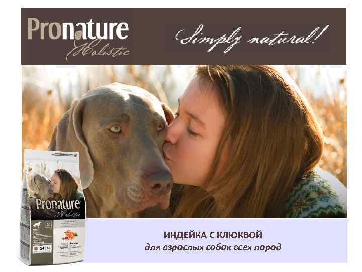 ИНДЕЙКА С КЛЮКВОЙ для взрослых собак всех пород 