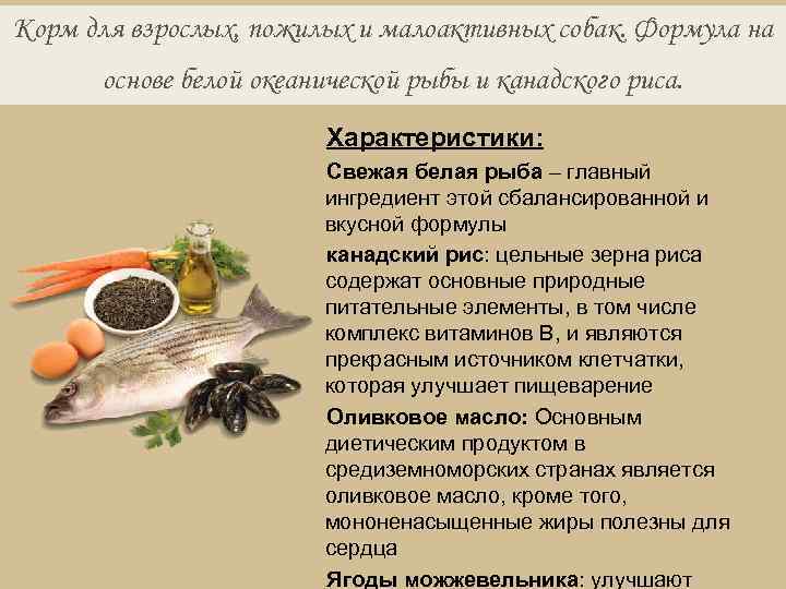 Корм для взрослых, пожилых и малоактивных собак. Формула на основе белой океанической рыбы и