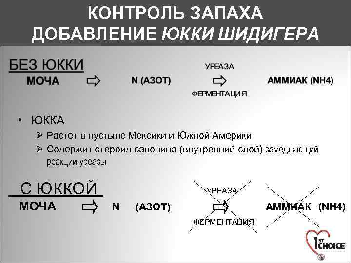 КОНТРОЛЬ ЗАПАХА ДОБАВЛЕНИЕ ЮККИ ШИДИГЕРА • ЮККА Ø Растет в пустыне Мексики и Южной