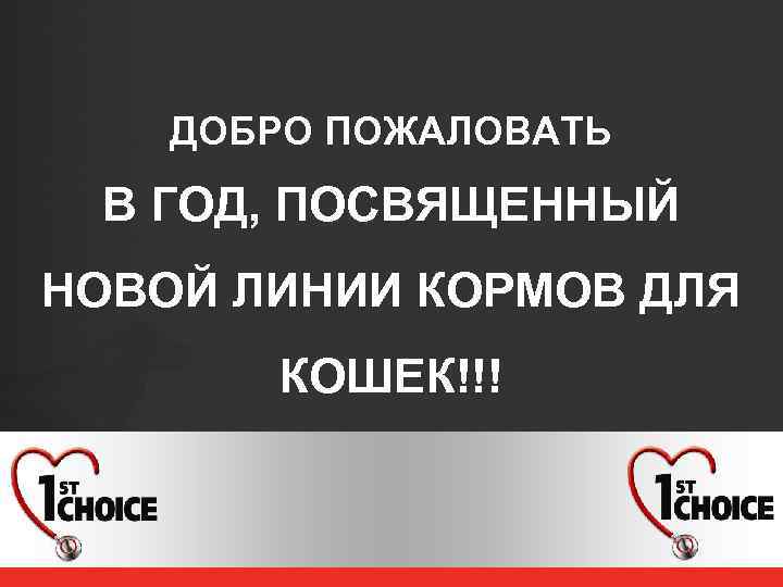 ДОБРО ПОЖАЛОВАТЬ В ГОД, ПОСВЯЩЕННЫЙ НОВОЙ ЛИНИИ КОРМОВ ДЛЯ КОШЕК!!! 