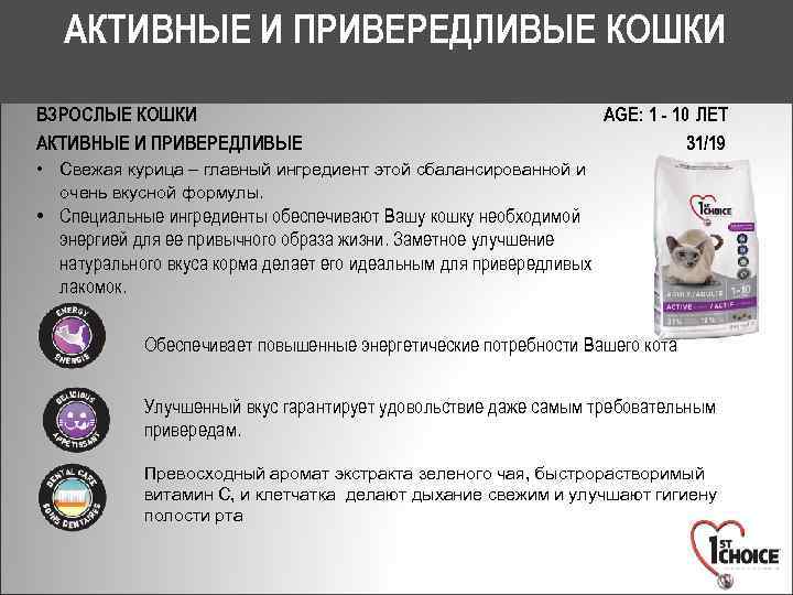 АКТИВНЫЕ И ПРИВЕРЕДЛИВЫЕ КОШКИ ВЗРОСЛЫЕ КОШКИ АКТИВНЫЕ И ПРИВЕРЕДЛИВЫЕ AGE: 1 - 10 ЛЕТ