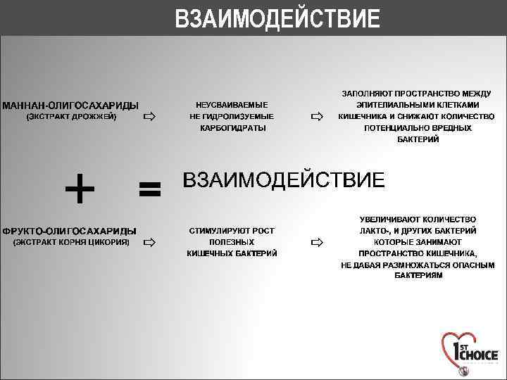 ВЗАИМОДЕЙСТВИЕ + = 
