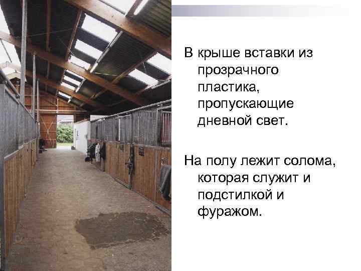 В крыше вставки из прозрачного пластика, пропускающие дневной свет. На полу лежит солома, которая