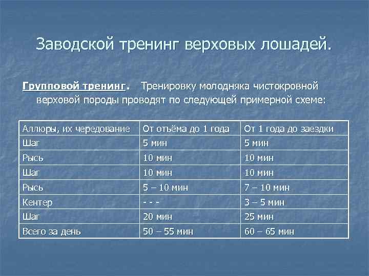 Заводской тренинг верховых лошадей. . Групповой тренинг Тренировку молодняка чистокровной верховой породы проводят по