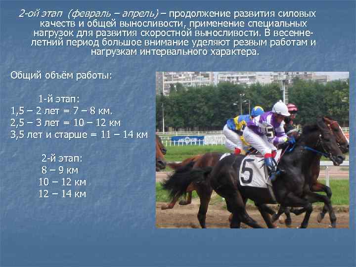 2 -ой этап (февраль – апрель) – продолжение развития силовых качеств и общей выносливости,