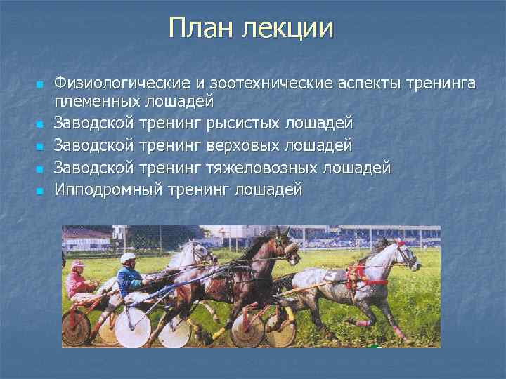План лекции n n n Физиологические и зоотехнические аспекты тренинга племенных лошадей Заводской тренинг