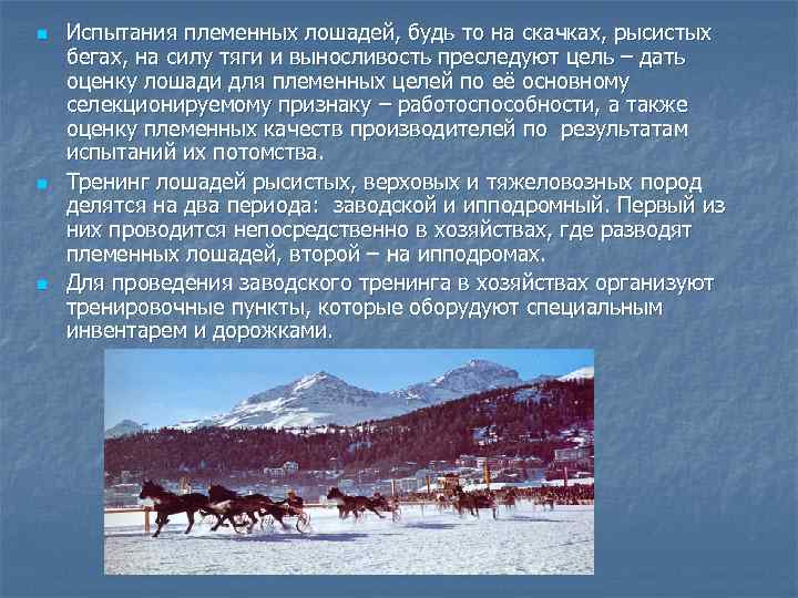 n n n Испытания племенных лошадей, будь то на скачках, рысистых бегах, на силу