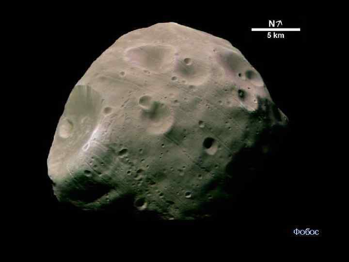 Фобос 