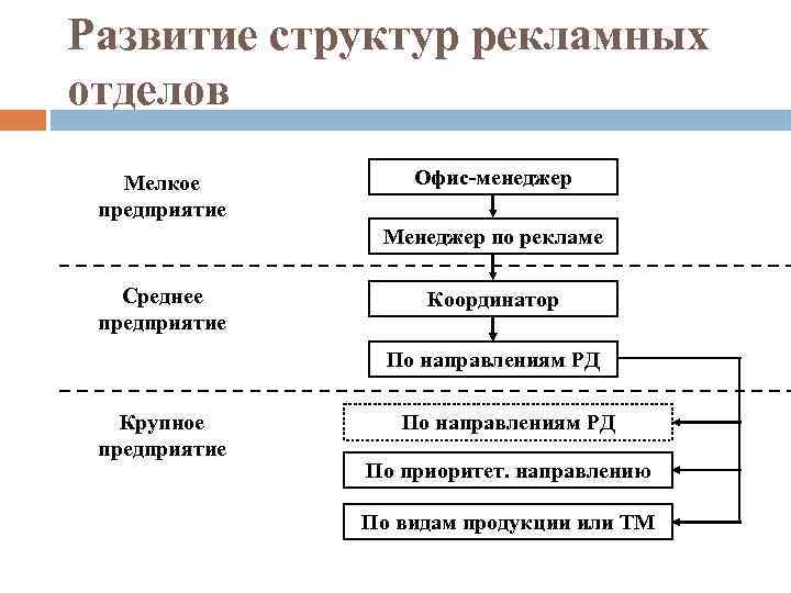 Структура функций организации