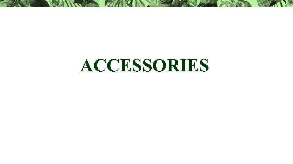 ACCESSORIES 