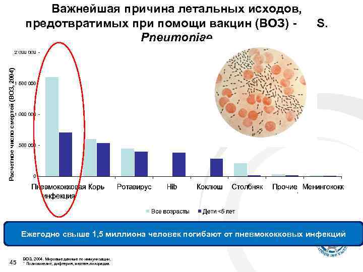 Расчетное число смертей (ВОЗ, 2004) Важнейшая причина летальных исходов, предотвратимых при помощи вакцин (ВОЗ)