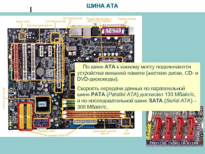 ШИНА ATA По шине АТА к южному мосту подключаются устройства внешней памяти (жесткие диски,