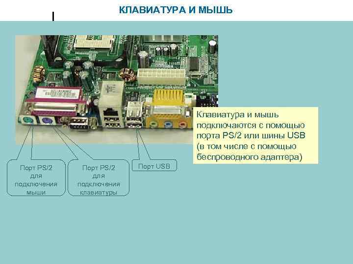 КЛАВИАТУРА И МЫШЬ Клавиатура и мышь подключаются с помощью порта PS/2 или шины USB