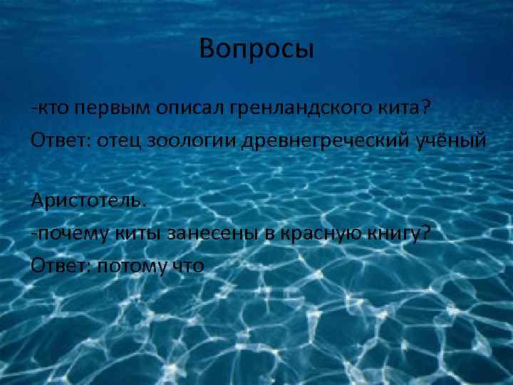 Вопросы -кто первым описал гренландского кита? Ответ: отец зоологии древнегреческий учёный Аристотель. -почему киты