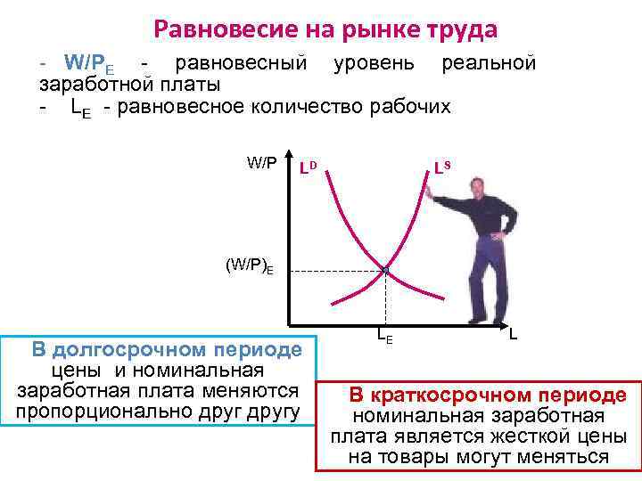 На рисунке представлена ситуация равновесия на рынке труда для которой характерно формирование