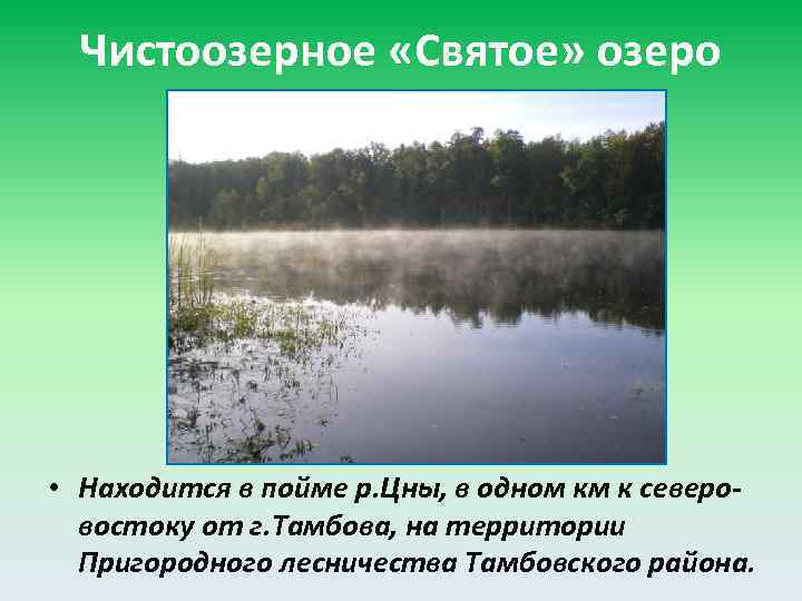 Чистоозерное «Святое» озеро • Находится в пойме р. Цны, в одном км к северовостоку