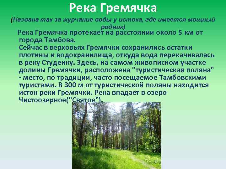 Река Гремячка (Названа так за журчание воды у истока, где имеется мощный родник) Река