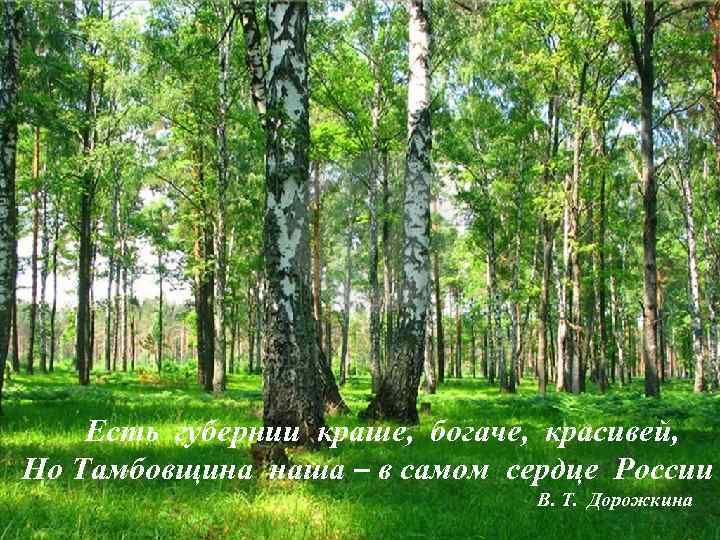 Есть губернии краше, богаче, красивей, Но Тамбовщина наша – в самом сердце России В.