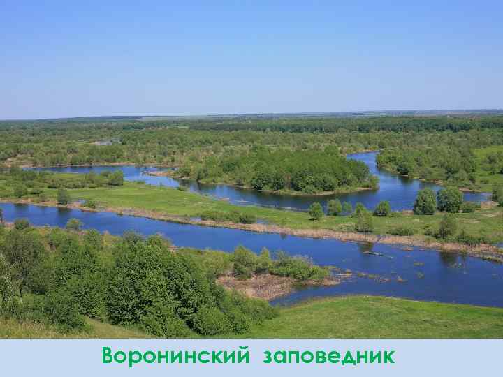 Воронинский заповедник 