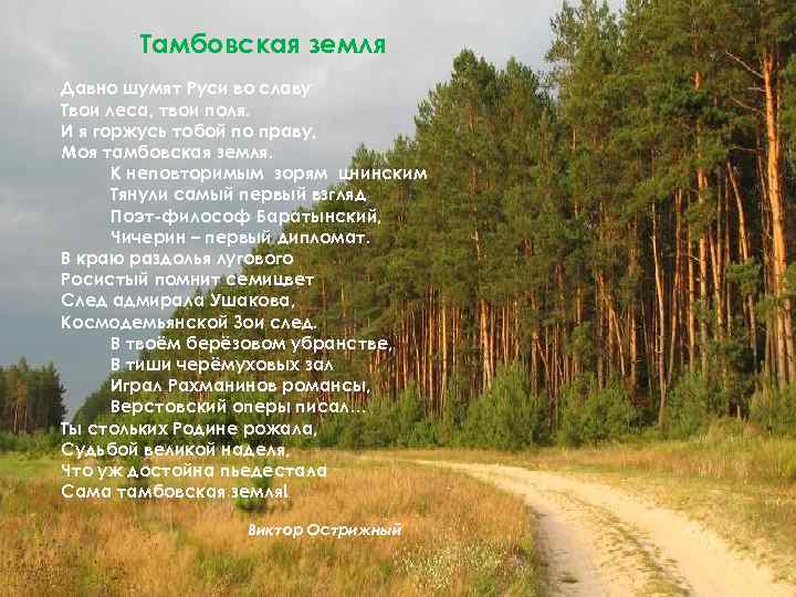 Тамбовская земля Давно шумят Руси во славу Твои леса, твои поля. И я горжусь